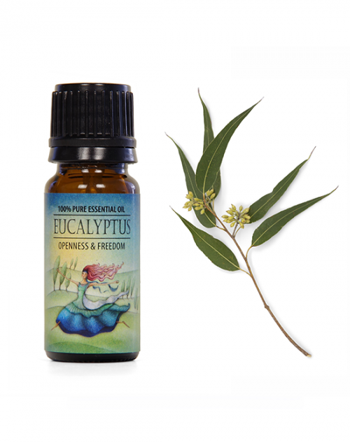Esenciálny olej Eucalyptus